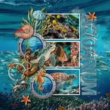 Aquarium Patches