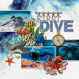 Aquarium Patches