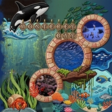 Aquarium Patches