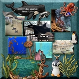 Aquarium Patches