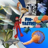 Aquarium Patches